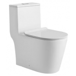 Richford R635 一體式自由咀座廁